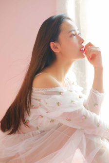浪漫樱花动漫在线观看免费