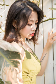 杀手蝴蝶梦